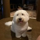 학동한옥펜션 이미지