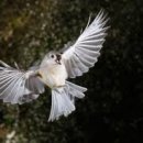 침산초교 동편 이미지