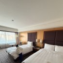 롯데대대전용크럽 | 부산숙소추천 롯데호텔부산 숙박 후기 / 라세느, 수영장 패키지