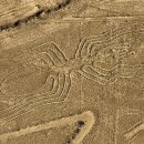 고양이는외계인 이미지