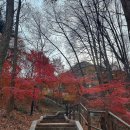 소소산방 | 남산타워 맛집 : 목멱산방 남산타워 내돈내산 후기