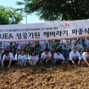 어룡초교 이미지