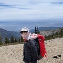Mt. Baldy Via Resister Ridge Trail 06-06-2926 이미지
