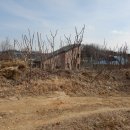 (주)에이원카프