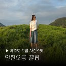제주도 스냅사진 추천 안친오름 주차장 금액 포토스팟 후기 작가 사진 꿀팁 여행 성지