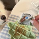 멍냥스푼 | 사료 위 한 스푼으로 달라지는 식사, 아임디퍼런트 토퍼 리얼 후기