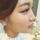 보떼춘천