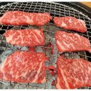 고기나라 이미지