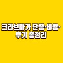 크라브마가노원넘버원 | 크라브마가 제대로 배우기: 학원 선택부터 단증·비용·지역별 추천까지(서울, 노원, 부산, 인천, 대구)