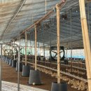 고창축산 이미지