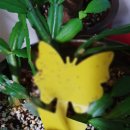 동일농약사 이미지