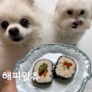 해피왈츄