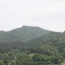 금고1리 이미지