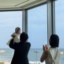 공다육수제화분 | 돌잔치 최종화 : 그랜드조선 부산 돌잔치 후기