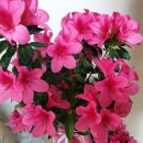 종암중앙어린이집 이미지