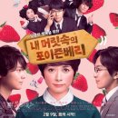 베리 이미지