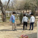 <b>이랜드</b><b>몰</b> 할인 모던하우스 리틀파브르 세트 지금 구매해야해요