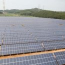 녹지태양광발전소 이미지