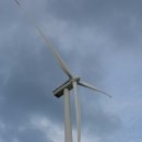 그린제일목장 이미지