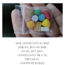 Re: 홍정욱 딸이 밀수한 마약 LSD 에 대해서 이미지