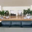 라비돌 호텔 이미지