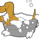 즐거운드라이세상 이미지