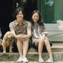 신흥민박 이미지