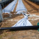 (주)휴팜 이미지