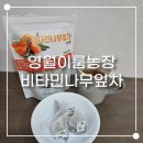 나무농장 | 영월이룸농장 비타민나무잎차 카페인없는차 녹차맛 티백 후기
