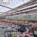 우일농장 이미지