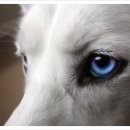 유앤동물의료원 이미지