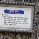 낙성대공원 이미지