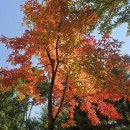 백석요양병원 | 요양보호사자격요건, 보호자의 입장에서 다시 보게 된 기준