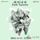 [11월 전시]박태원 초대전 : "피어나다_ BLOSSOM" 이미지