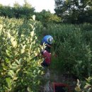 호구농장 이미지