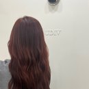 유디브 이미지