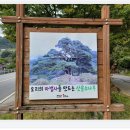 상동 장산 야영장 이미지
