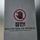 [강원/횡성] 강원도 캠핑장 '모두의 캠핑장' 후기부터 준비물, 꿀팁까지 총정리