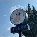 애견세상 - 1217 | 애견세상