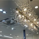 플랜헤어 이미지