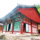 도림사계곡 이미지