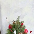 12/6 크리스마스 생화 트리 이미지