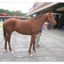 통산1목장 이미지