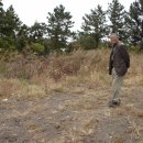 태흥3리 이미지