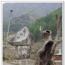 장안산 관광농원