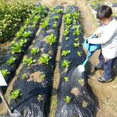 종원농장 이미지