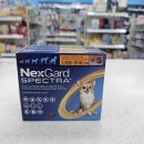 오렌지라임약국 이미지