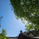 회암사 - 양주시 | 양주 회암사 행복두배 템플스테이 후기