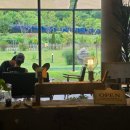 러스틱문 이미지