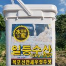 기프트마카다